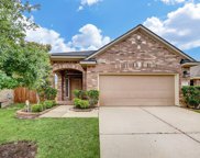 10726 Fuqua Oaks Lane, Houston image