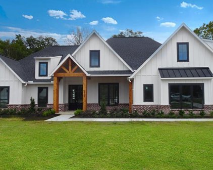 2707 Hackberry Run, Alvin