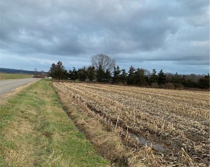 Oswald  Road, Collins-143689