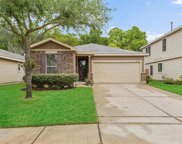 16042 Heights Harvest Lane, Cypress image