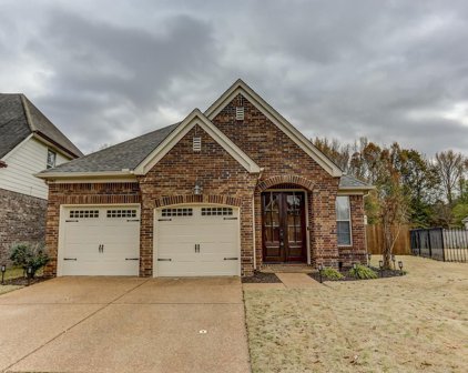 9965 Bowmore Dr, Cordova