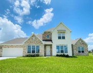 615 Johnston, Rosharon image