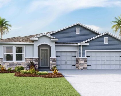 3511 Crooked River Drive, Plant City