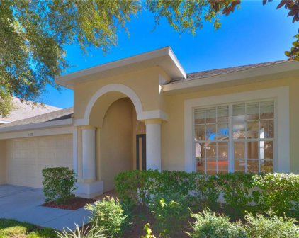 4420 Huddlestone Dr, Wesley Chapel
