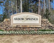 LT 40I Arbor Springs, Newnan image
