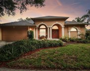 4410 River Overlook Drive, Valrico image