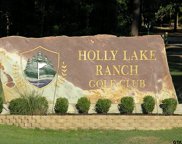 225 Holly Hill Circle 119E, Holly Lake Ranch image