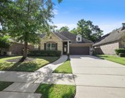 17214 Blanton Forest Drive, Humble image