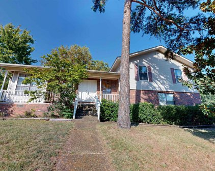54 Ophelia, Maumelle
