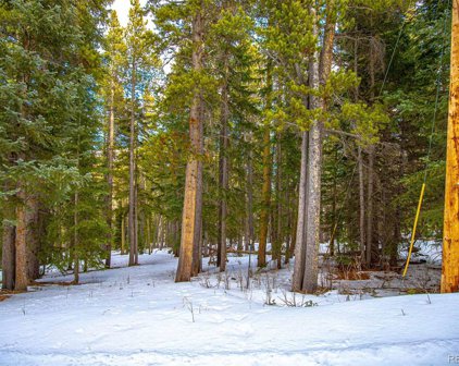1111 Wood Road, Idaho Springs