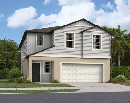 13519 Sunset Sapphire Court, Parrish