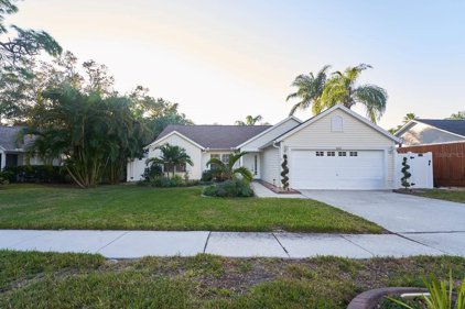 1660 Silverwood Street, Tarpon Springs