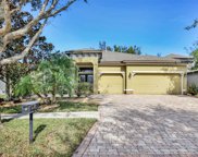 15718 Starling Water Drive, Lithia image