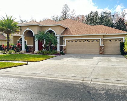 3011 Marble Crest Drive, Land O' Lakes