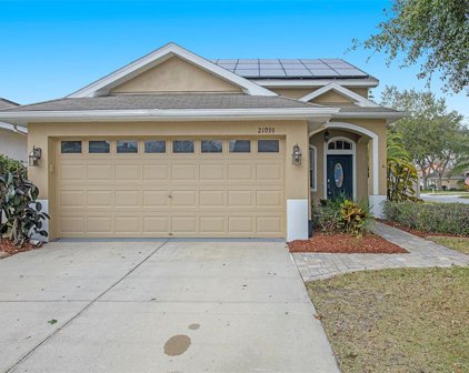 21039 Green Wing Court, Land O' Lakes