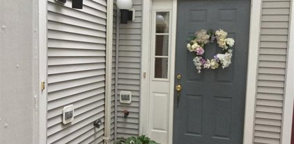 20493 Cool Fern Sq, Ashburn