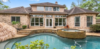 122 Marlberry Branch Court, The Woodlands