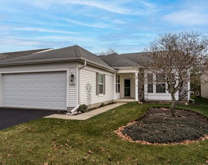 11846 Borhart Drive, Huntley