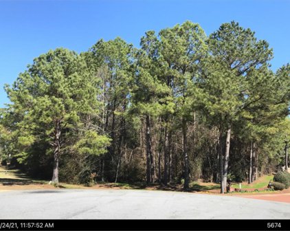 Lot 12 NUNNALLY WAY, Leesburg