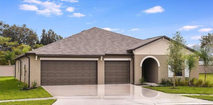 2991 Flying Blackbird Road, Bartow