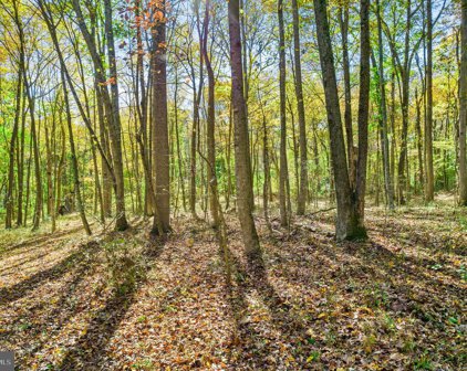 94.5 Acres Crest Hill Rd, Marshall