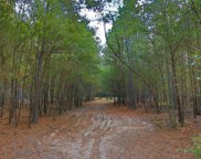 000 Moxley Camp Rd, Karnack image