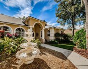 6301 Wild Orchid Drive, Lithia image