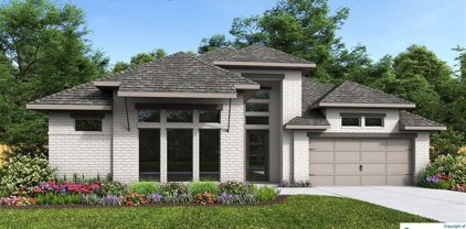 1108 Rusty Blackhaw Trail, San Marcos