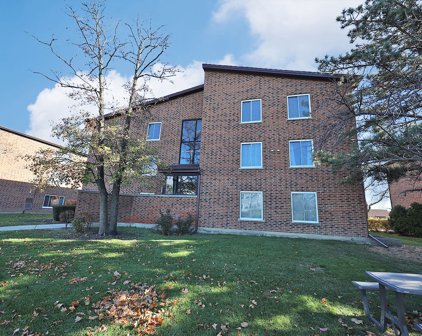 930 Perrie Drive Unit #204, Elk Grove Village