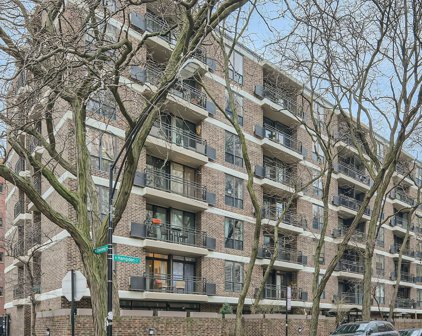 2600 N Hampden Court Unit #J6, Chicago