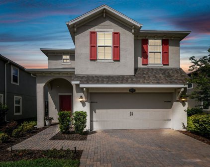 19257 Roseate Drive, Lutz