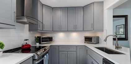 2285 Pitt River Road Unit 309, Port Coquitlam
