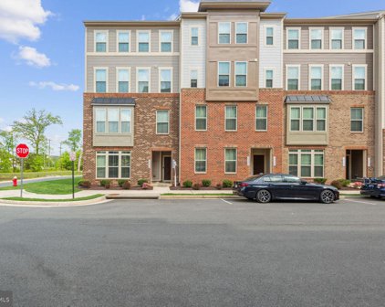 25294 Trumpet Vine Ter, Aldie