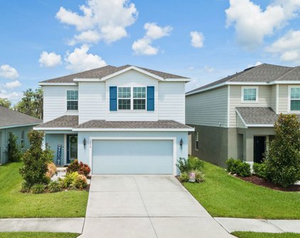 10279 Hawks Landing Drive, Land O' Lakes