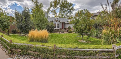 460 Snowy Owl Place, Highlands Ranch