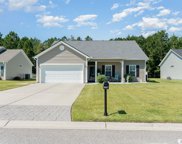 337 Basswood Ct., Conway image