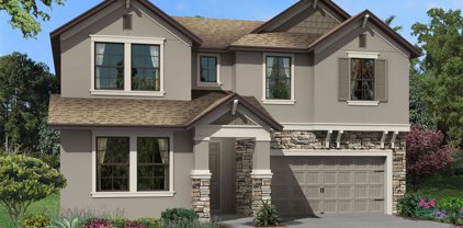 9330 Crescent Ray Drive, Wesley Chapel