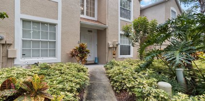 4675 Tudor Lane, Palm Harbor