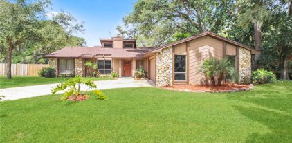 490 Burnt Tree Lane, Apopka