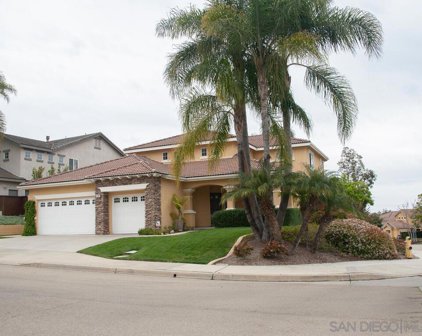 1202 Sand Dollar Way, San Marcos