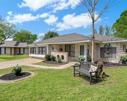 1318 Dellbrook Drive, Houston