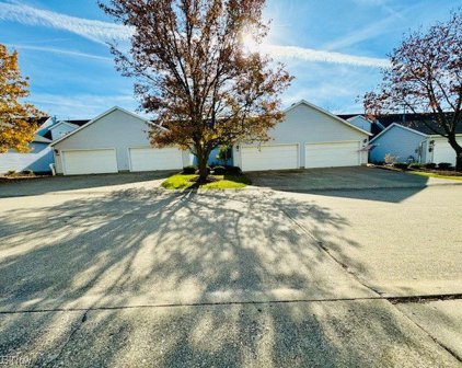 4294 Alpine Hill Court, Brunswick