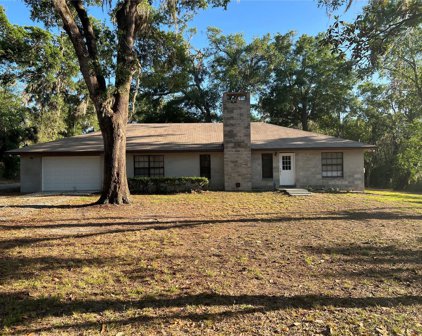 615 Thompson Road, Lithia