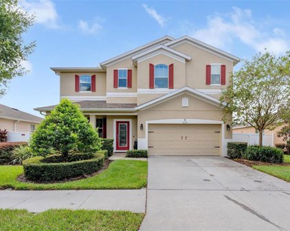 2127 Valterra Vista Way, Valrico