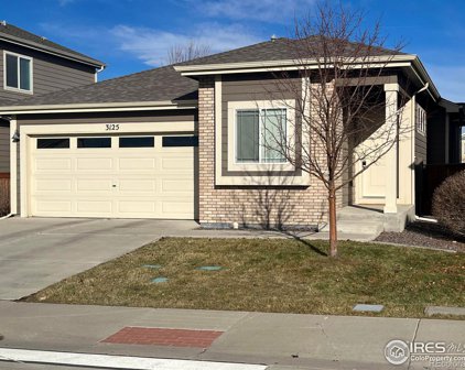 3125 Carney Street, Loveland