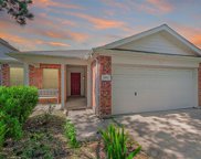 11910 Sonora Springs Drive, Tomball image