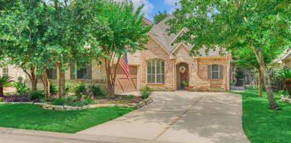 26 Columbia Crest Place, The Woodlands