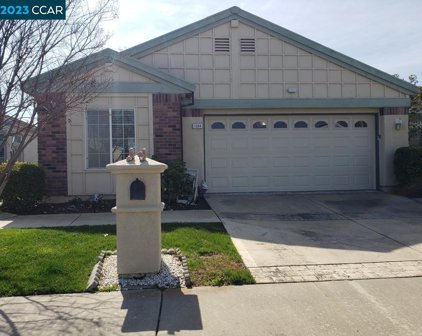 1584 Spigold Way, Brentwood
