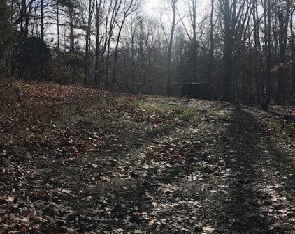 1991 Simmons Ridge Rd, Cornersville