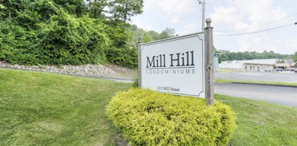 215 Mill St Unit 117, Worcester